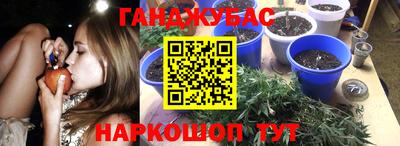 дмт Ставрополь