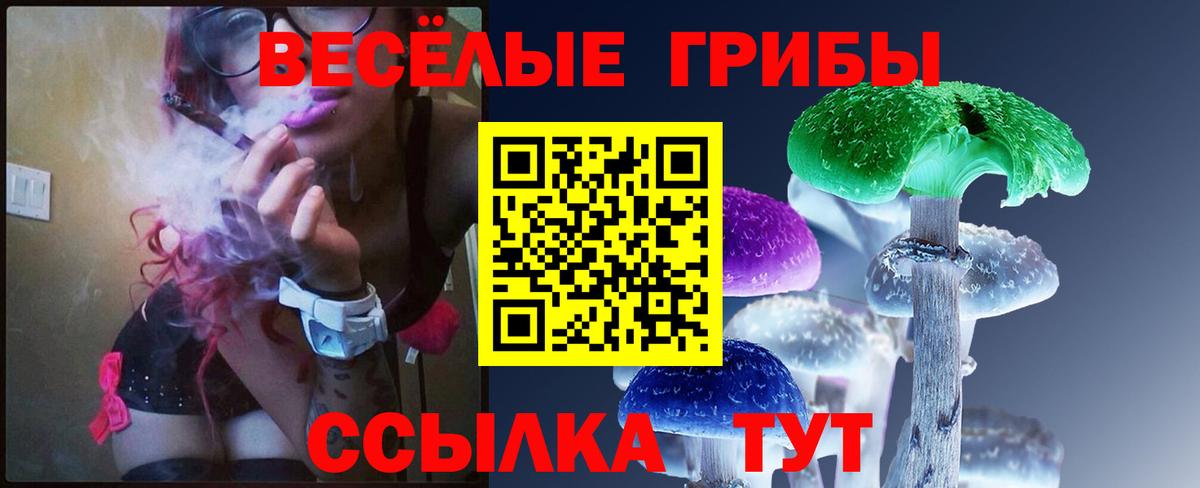 Новый Уренгой  Псилоцибиновые грибы мухоморы  Вход с VPN  Псилоцибиновые грибы прущие грибы 